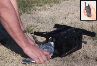 D T Systems Remote Natural Flush Bird Launcher